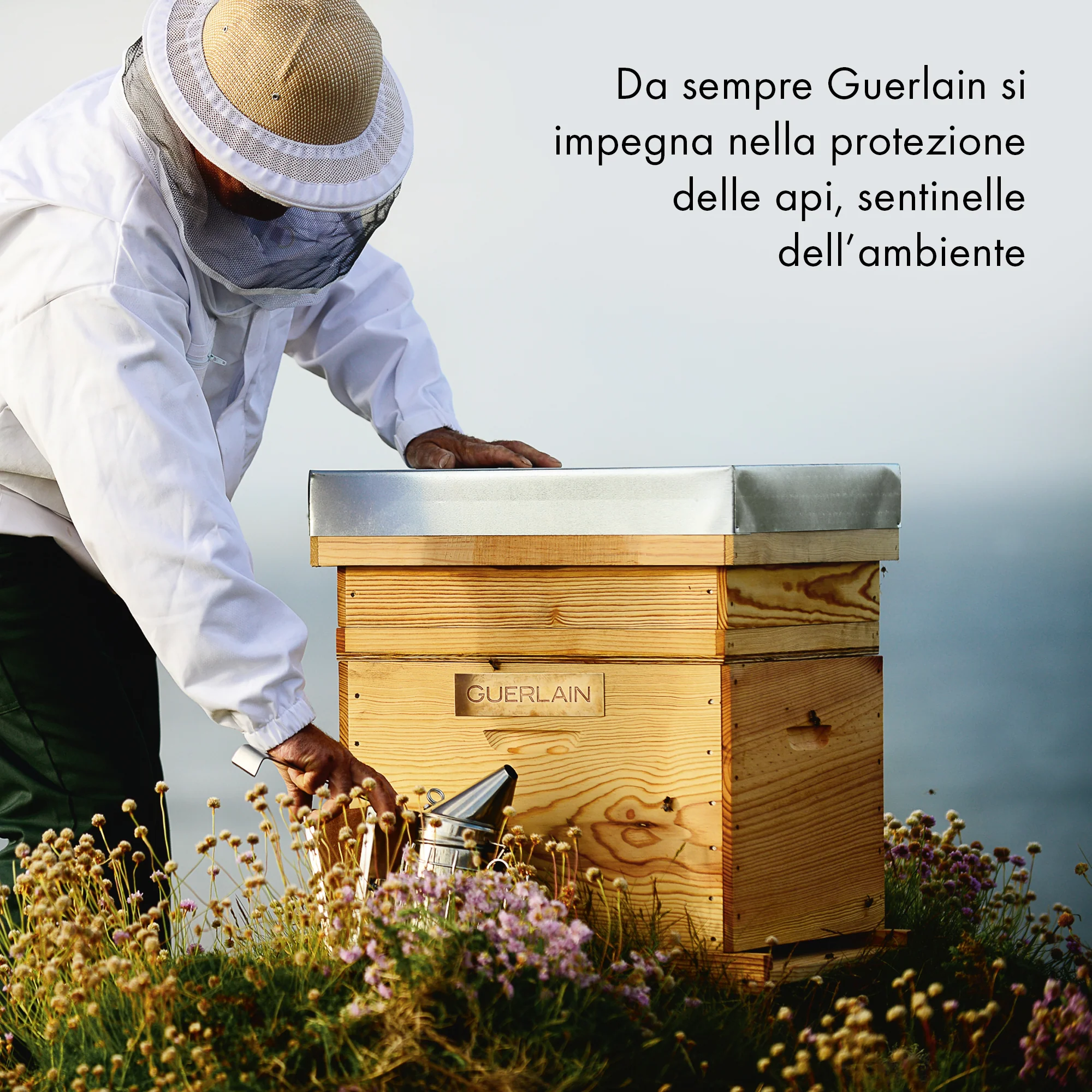 Immagine prodotto 9