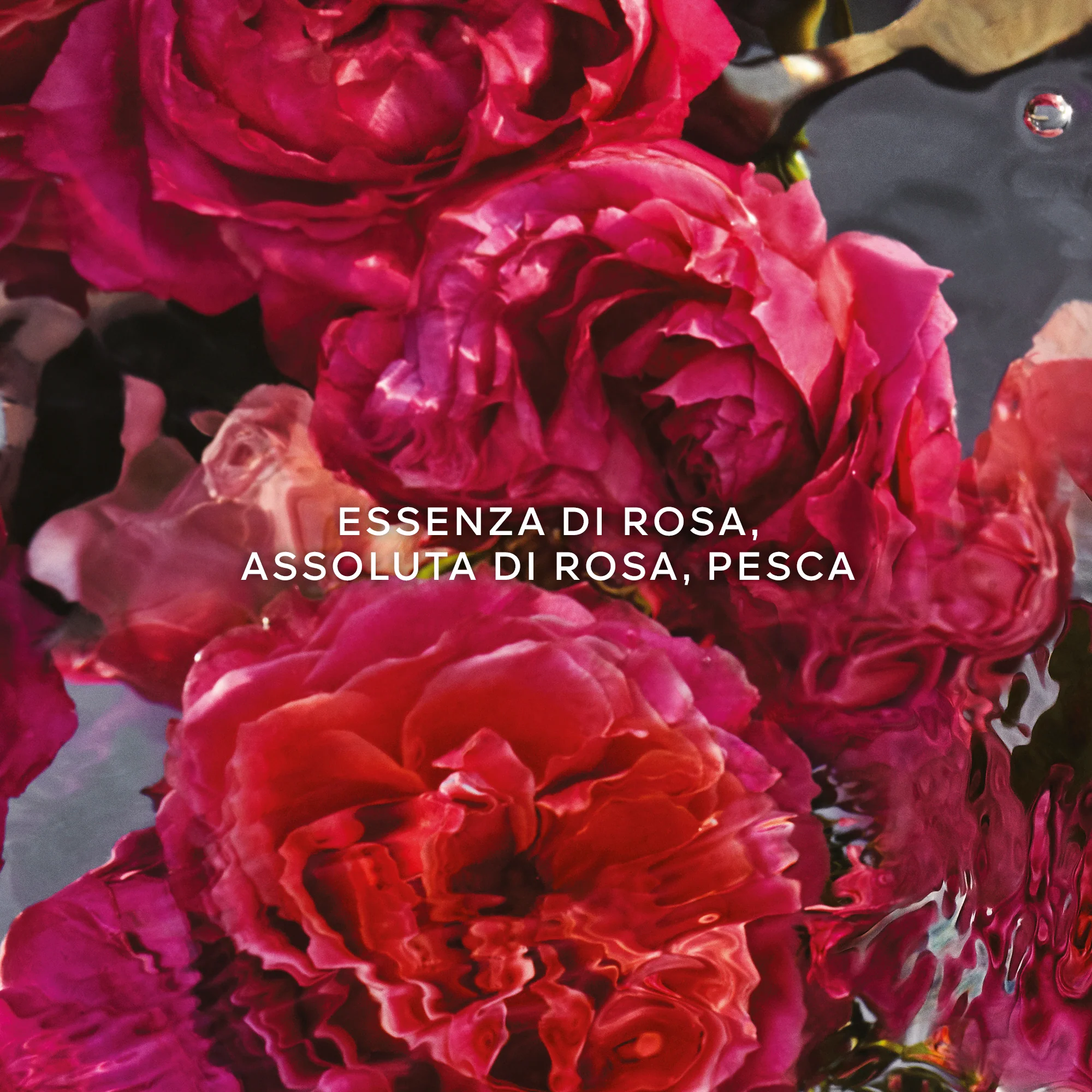 Immagine prodotto 3