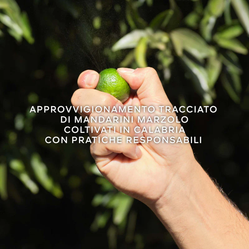 Immagine prodotto 6