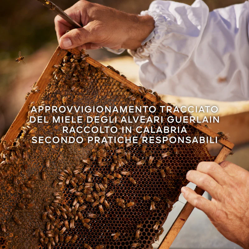 Immagine prodotto 6