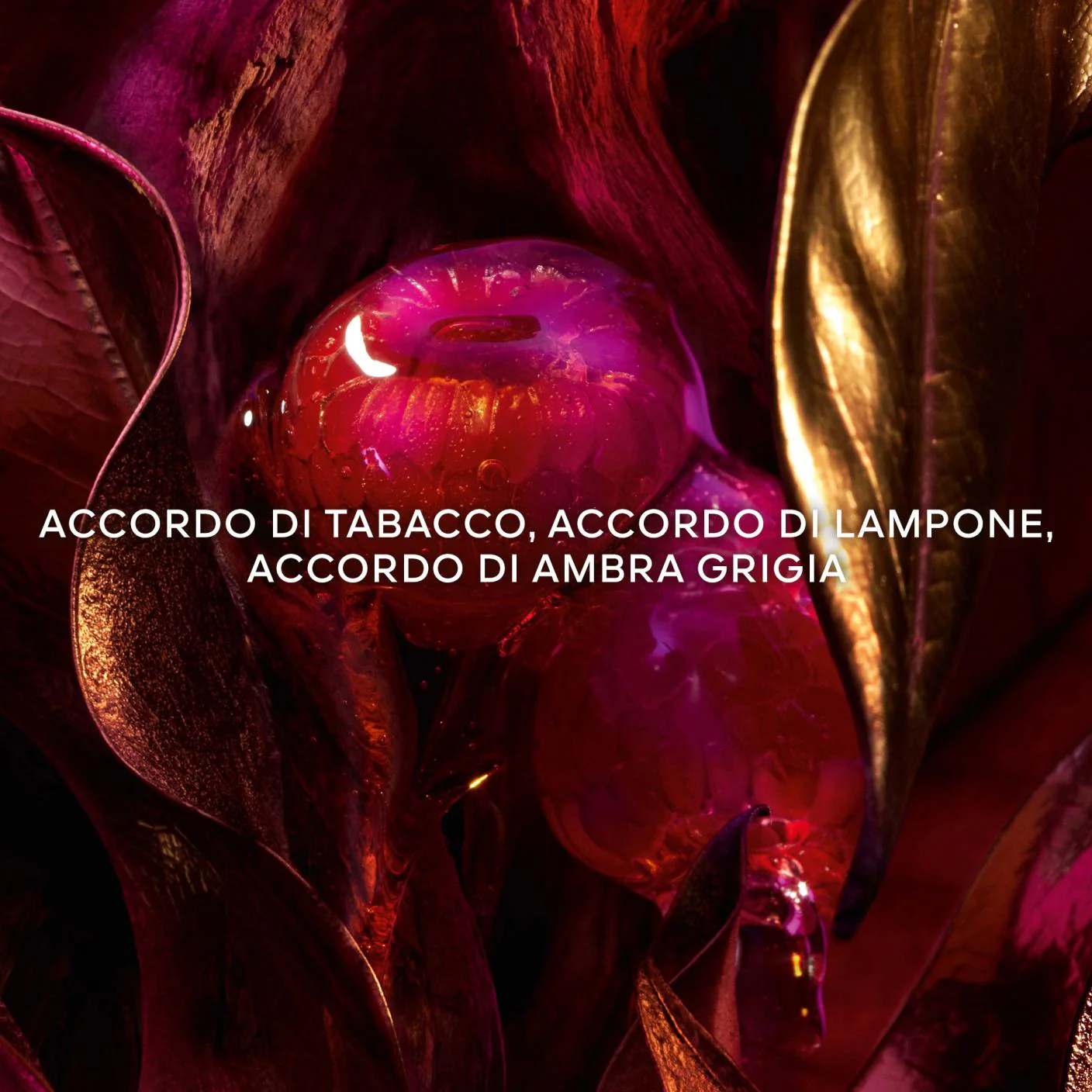 Immagine prodotto 3