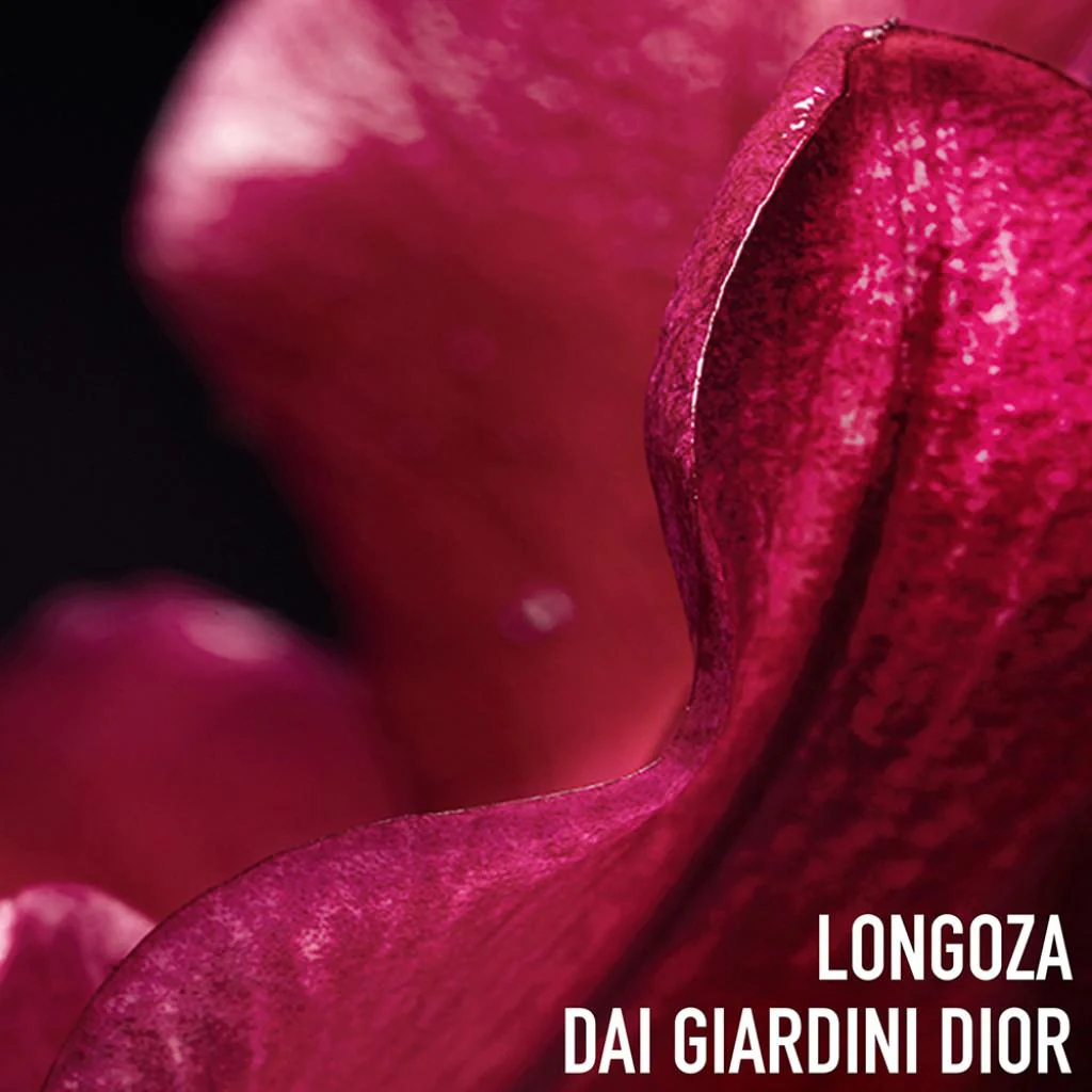 Immagine prodotto 5