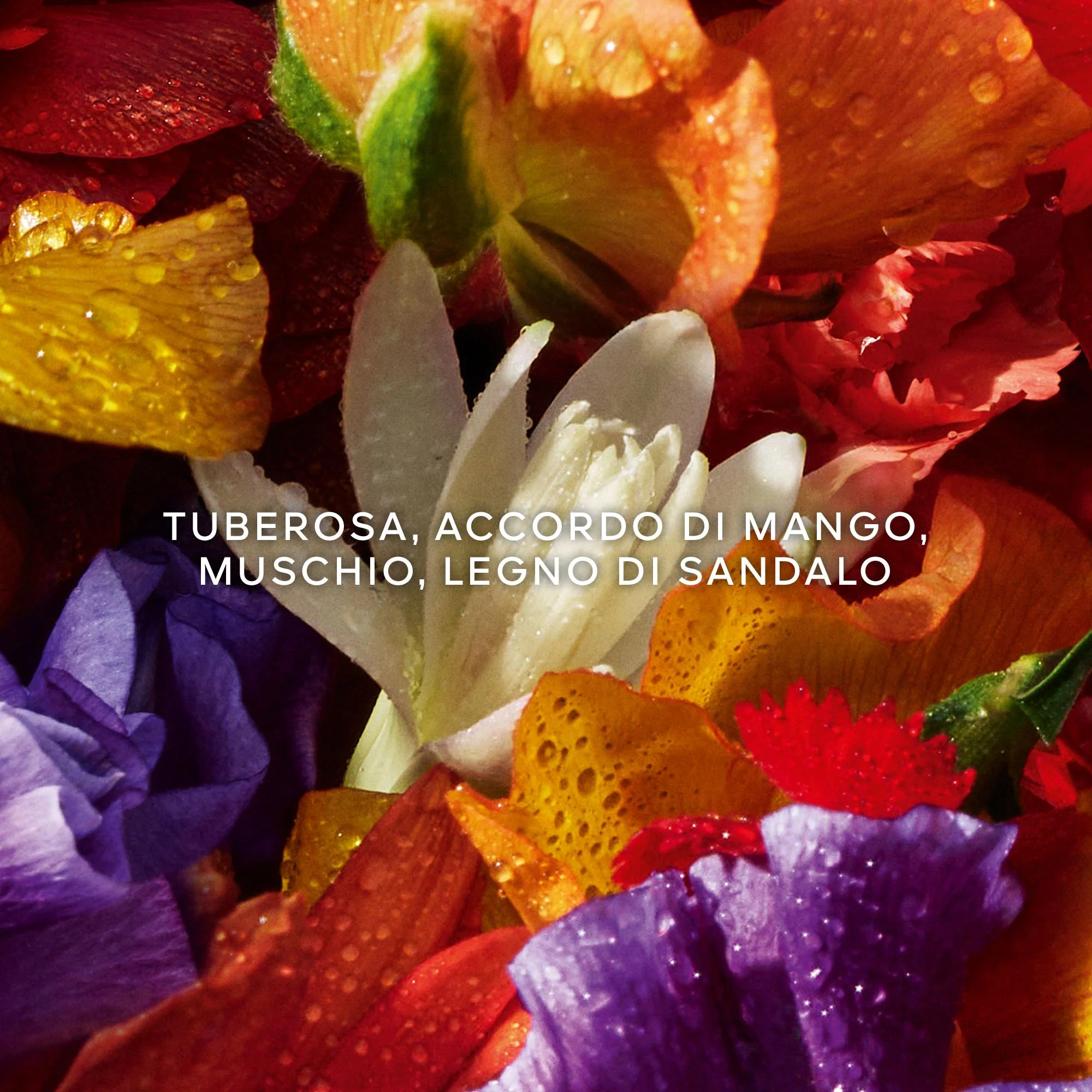 Immagine prodotto 5