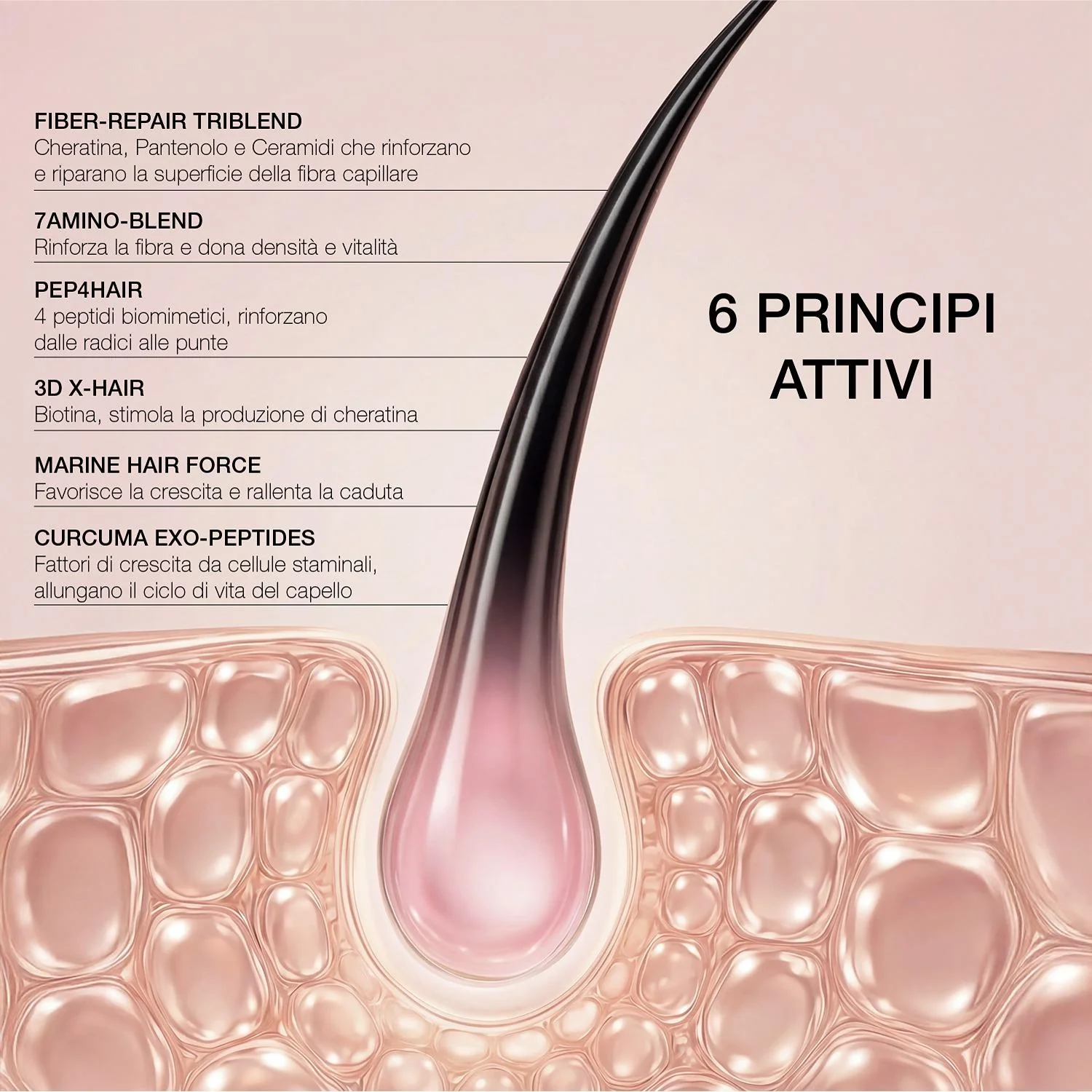 Immagine prodotto 5
