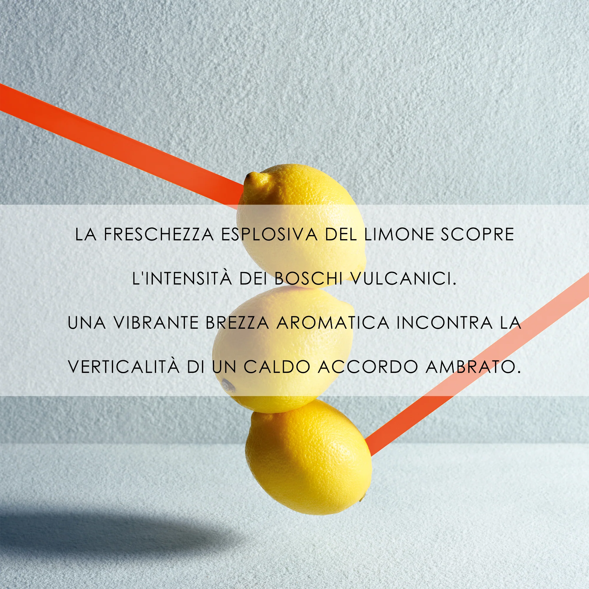 Immagine prodotto 3