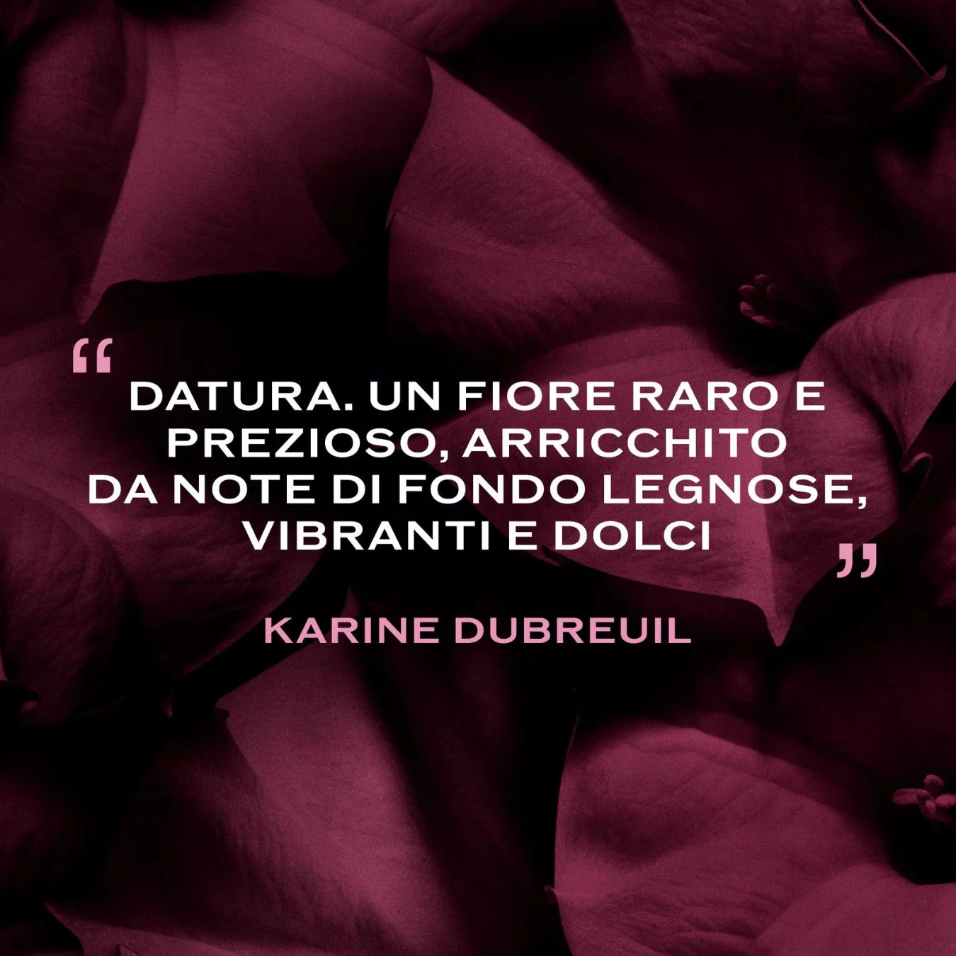 Immagine prodotto 5