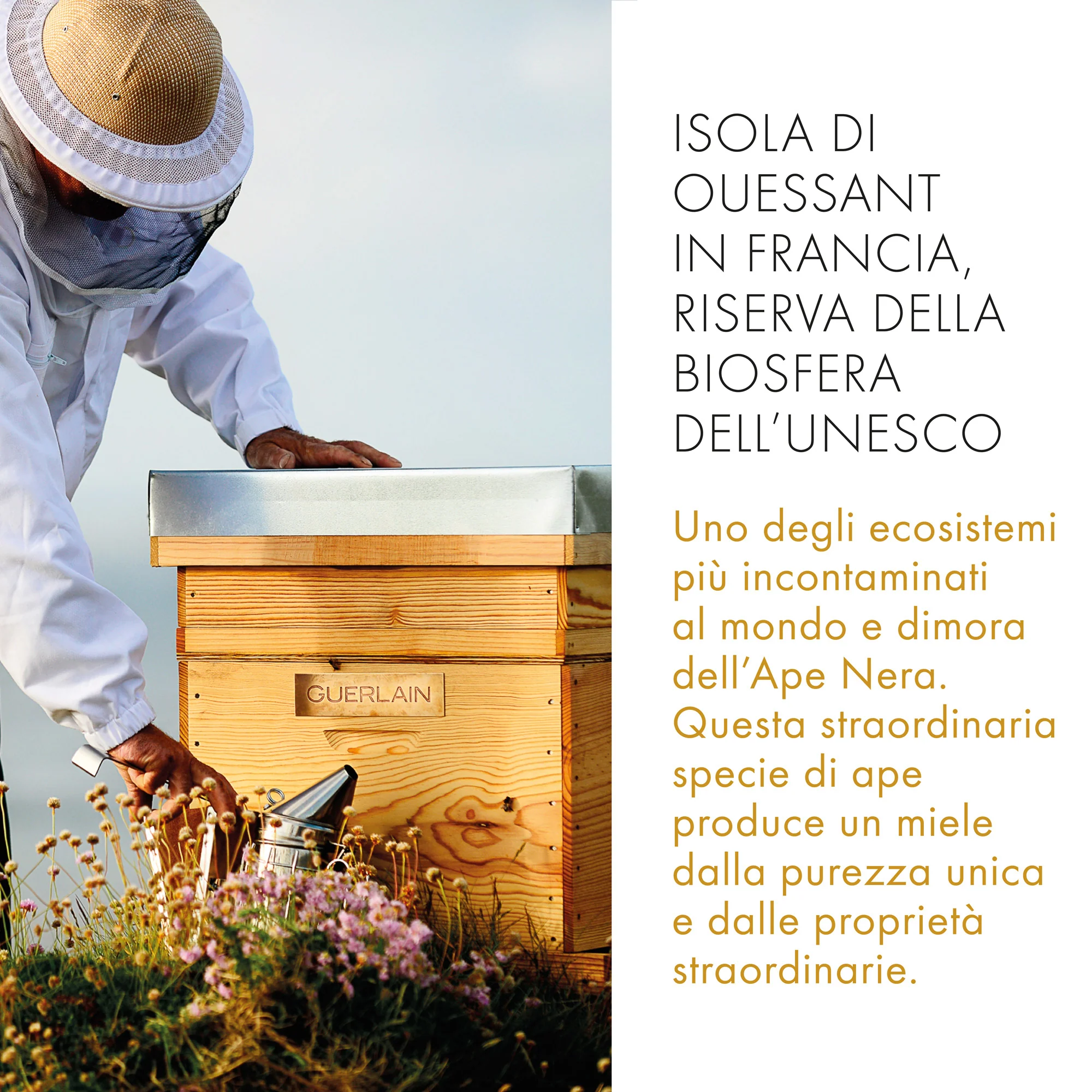 Immagine prodotto 3