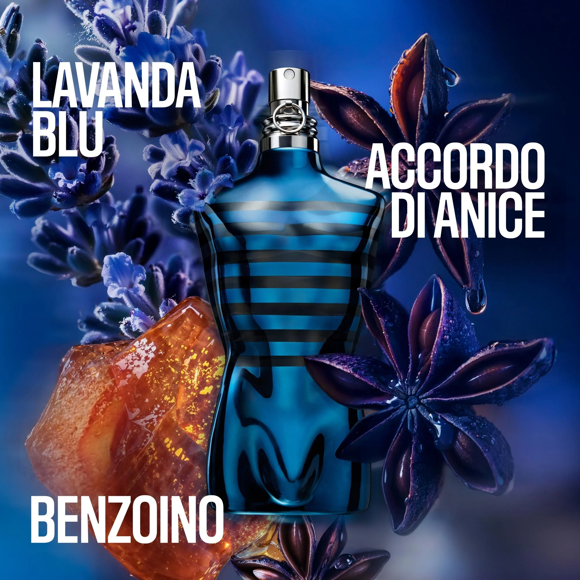 Immagine prodotto 3