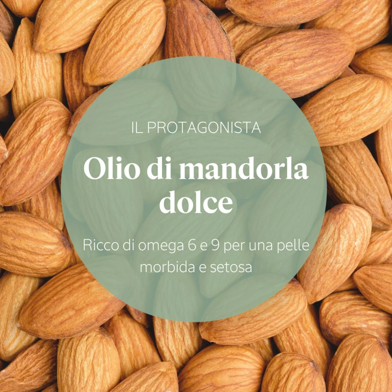 Immagine prodotto 3