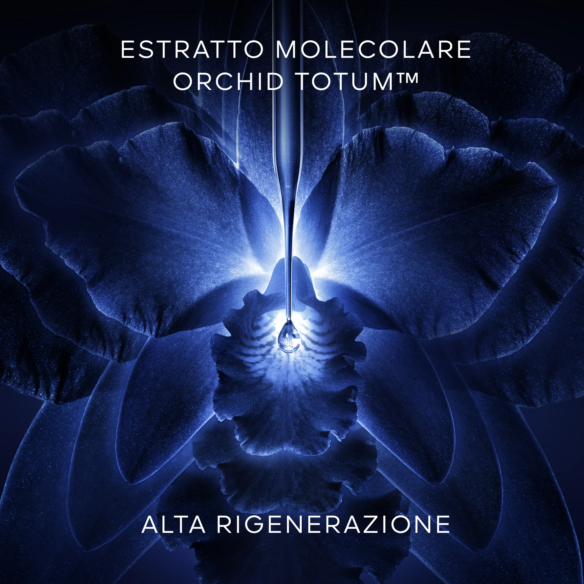Immagine prodotto 5