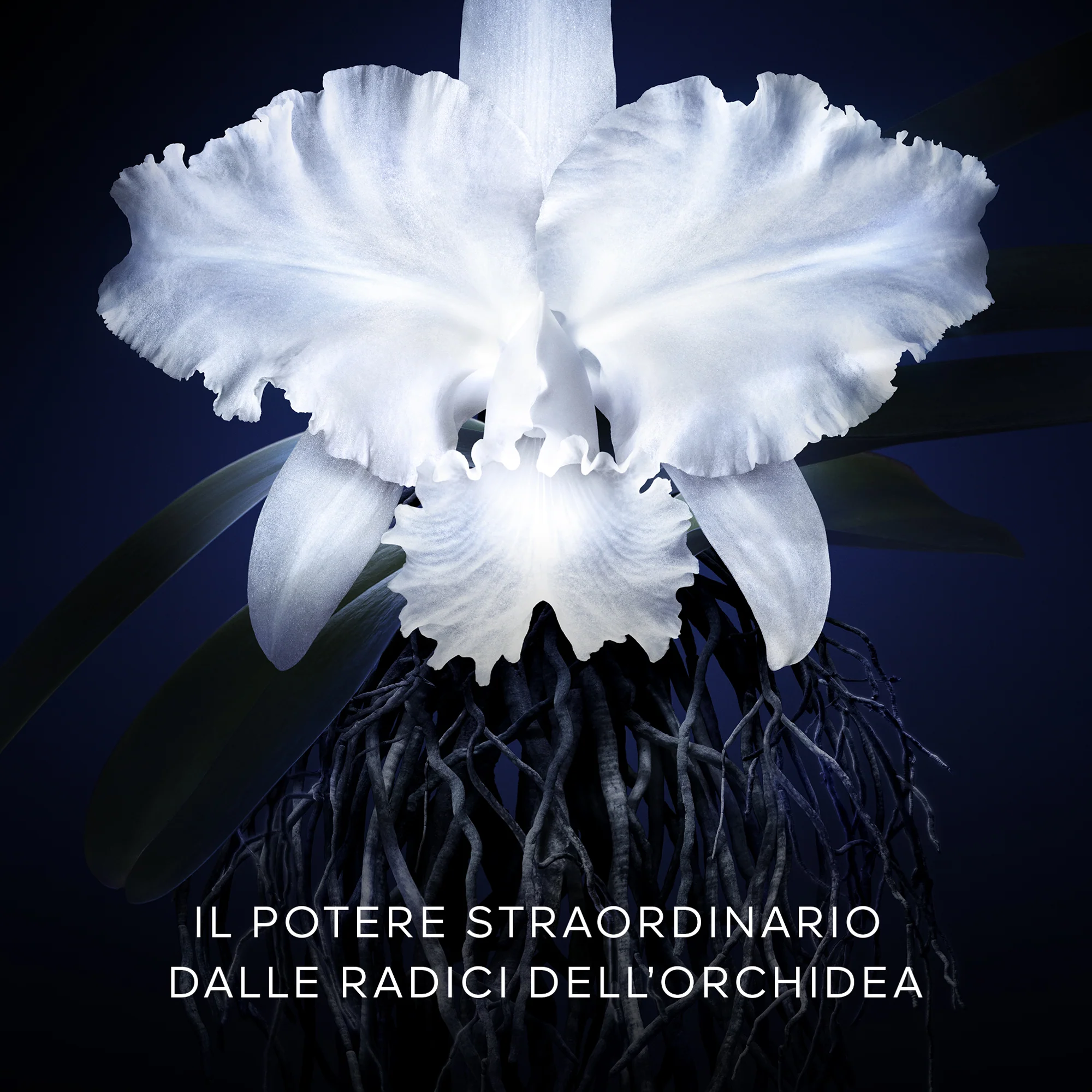 Immagine prodotto 5