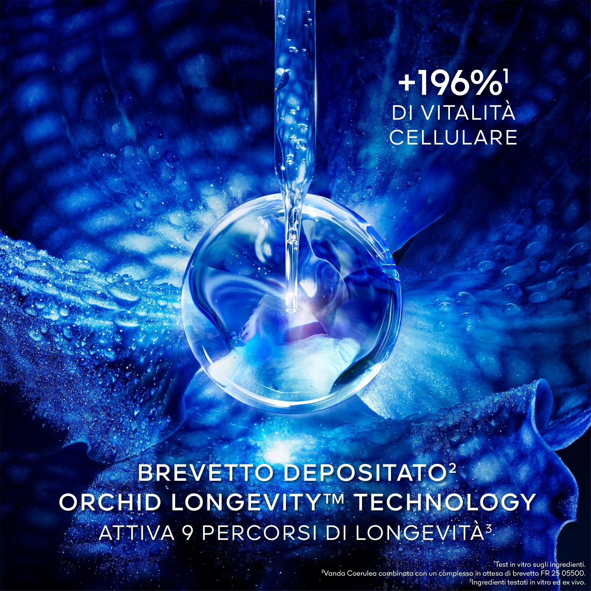 Immagine prodotto 6