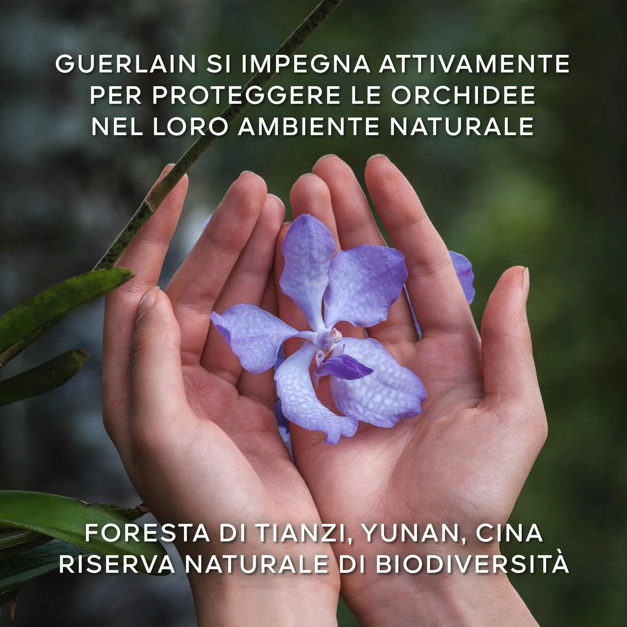 Immagine prodotto 9
