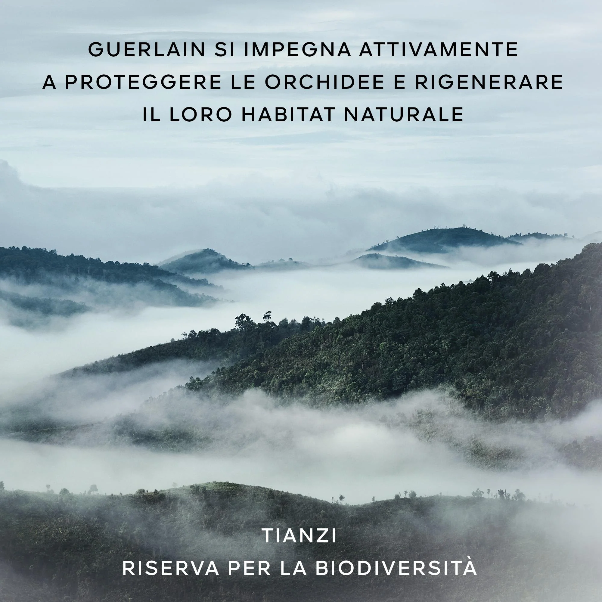 Immagine prodotto 7